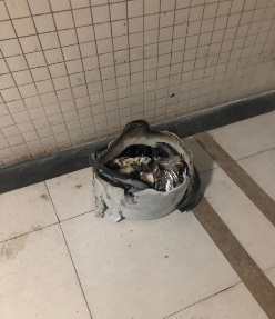 英国上市官网365